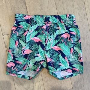 Tropical Flamingo Kids Swim Trunks